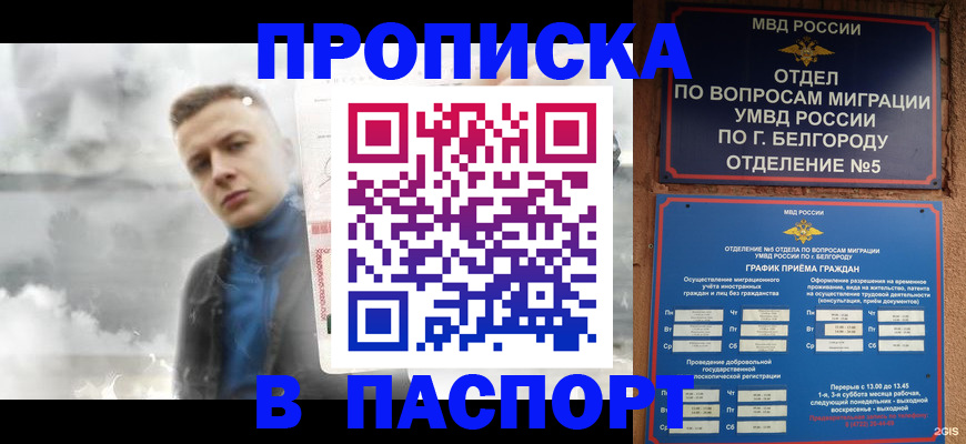 временная регистрация в Жуковке